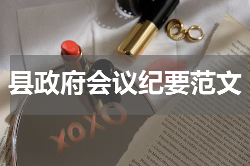 县政府会议纪要范文