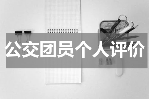公交团员个人评价