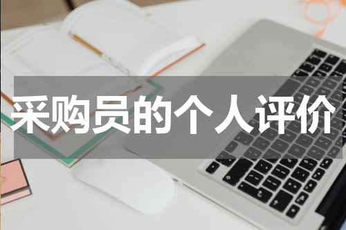 采购员的个人评价
