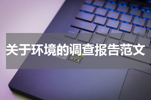 关于环境的调查报告范文