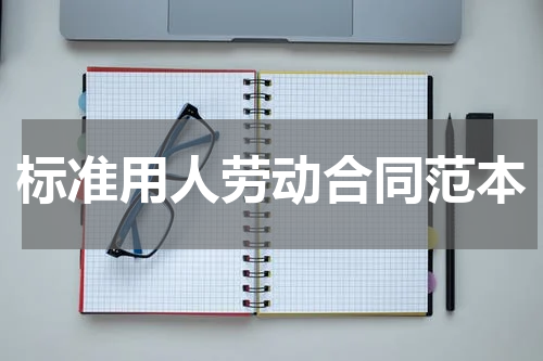 标准用人劳动合同范本