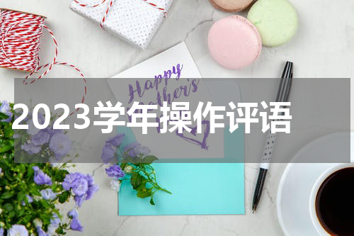 2023学年操作评语