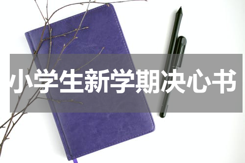 小学生新学期决心书