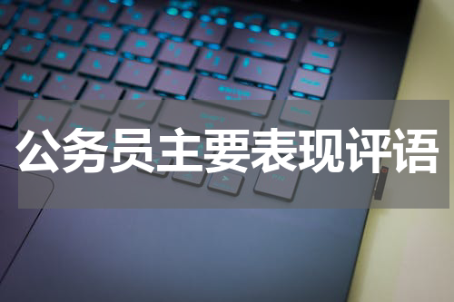 公务员主要表现评语