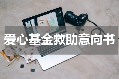 爱心基金救助意向书