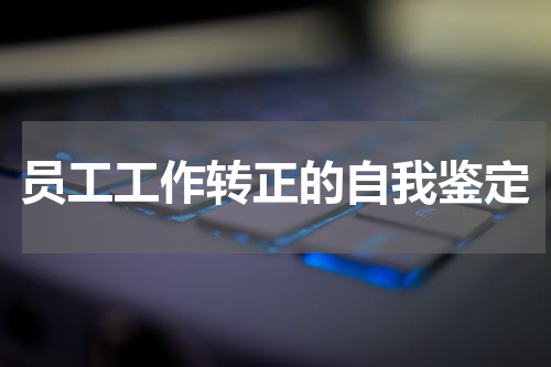 员工工作转正的自我鉴定