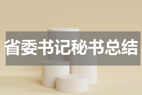 省委书记秘书总结