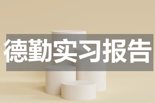 德勤实习报告