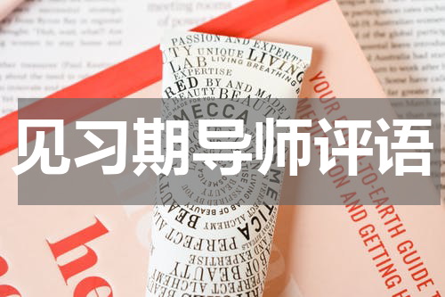 见习期导师评语
