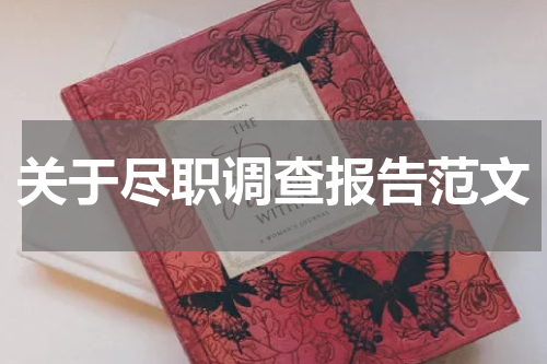 关于尽职调查报告范文