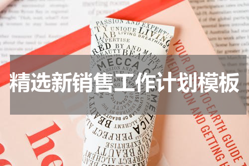 精选新销售工作计划模板