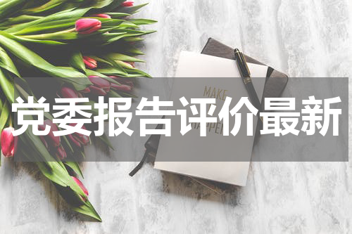 党委报告评价最新