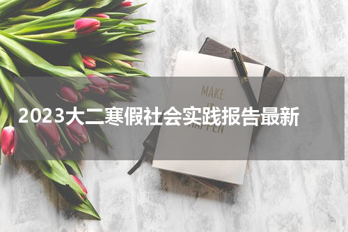 2023大二寒假社会实践报告最新