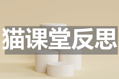 猫课堂反思
