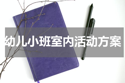 幼儿小班室内活动方案