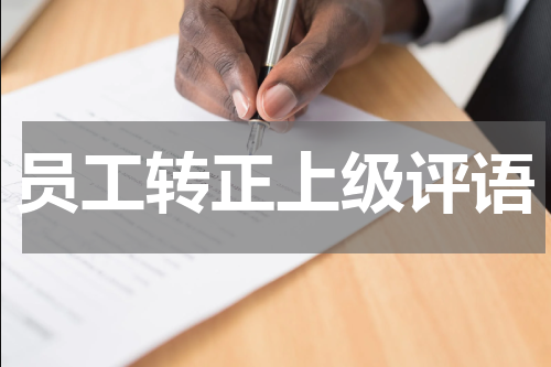 员工转正上级评语
