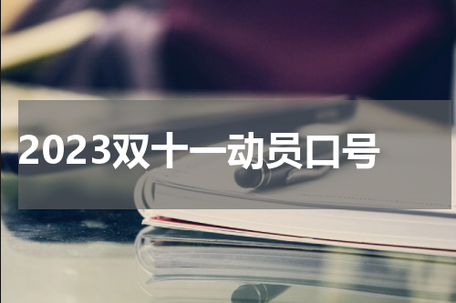 2023双十一动员口号