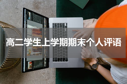 高二学生上学期期末个人评语