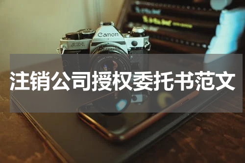 注销公司授权委托书范文