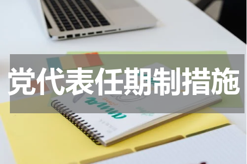 党代表任期制措施