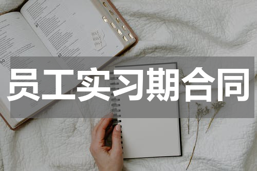 员工实习期合同