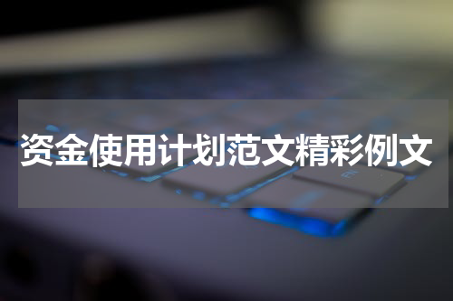 资金使用计划范文精彩例文