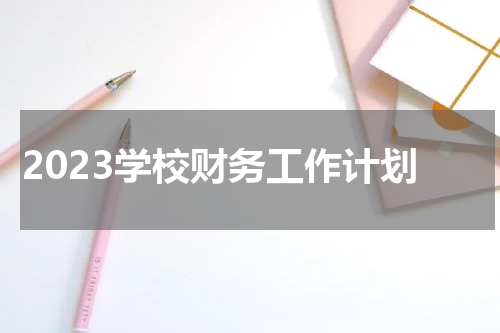 2023学校财务工作计划