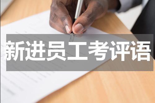 新进员工考评语