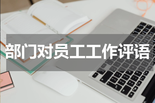 部门对员工工作评语