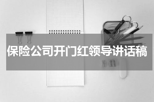 保险公司开门红领导讲话稿