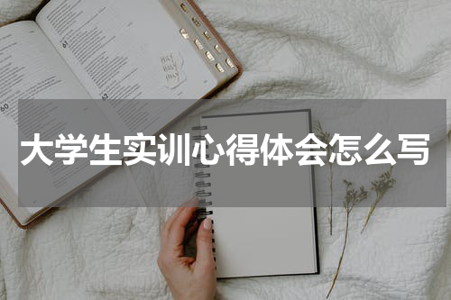 大学生实训心得体会怎么写