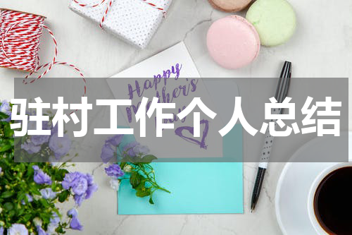 驻村工作个人总结
