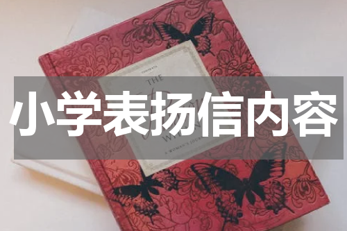 小学表扬信内容