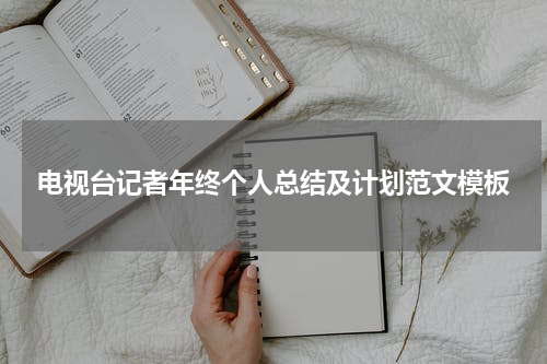 电视台记者年终个人总结及计划范文模板