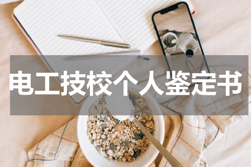电工技校个人鉴定书