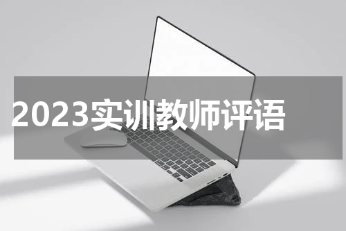 2023实训教师评语