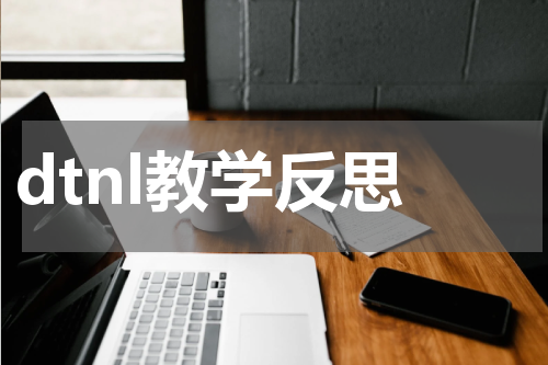 dtnl教学反思