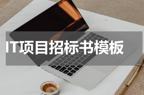 IT项目招标书模板