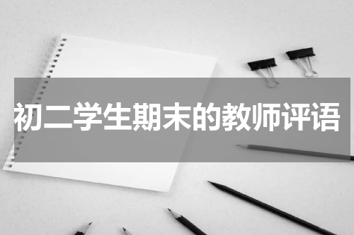 初二学生期末的教师评语