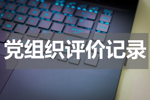 党组织评价记录