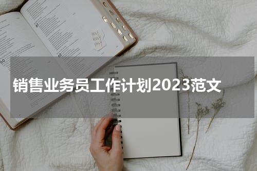 销售业务员工作计划2023范文