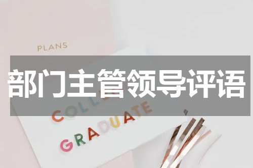 部门主管领导评语
