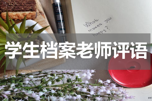 学生档案老师评语