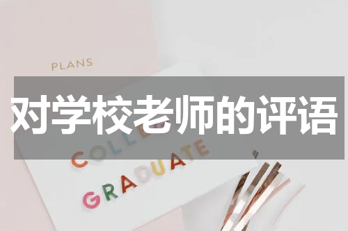对学校老师的评语