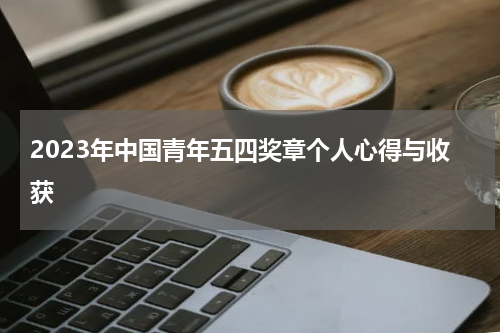 2023年中国青年五四奖章个人心得与收获