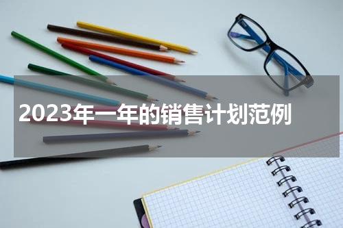 2023年一年的销售计划范例