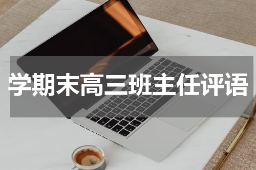 学期末高三班主任评语