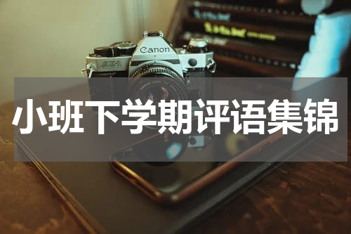 小班下学期评语集锦
