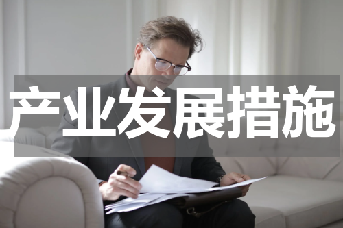 产业发展措施
