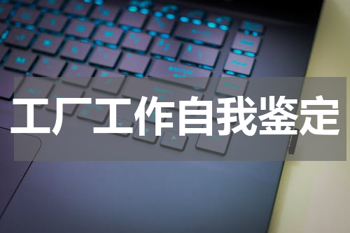 工厂工作自我鉴定